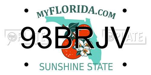 93BRJV Florida License Plate