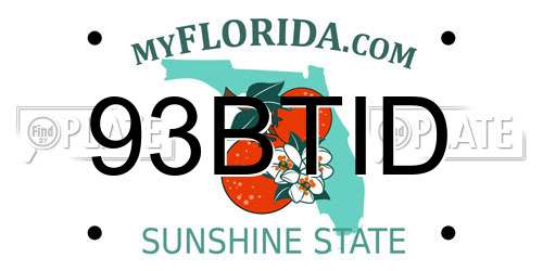 93BTID Florida License Plate