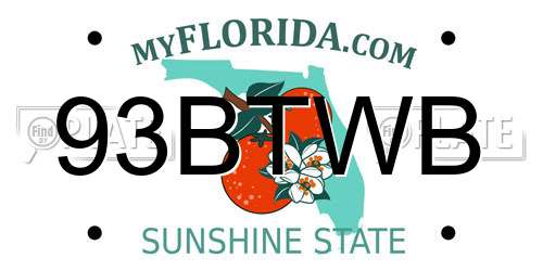 93BTWB Florida License Plate
