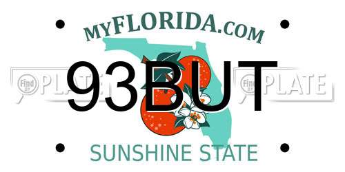 93BUT Florida License Plate