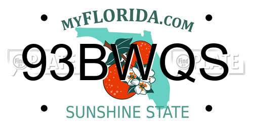 93BWQS Florida License Plate
