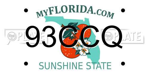 93CCQ Florida License Plate