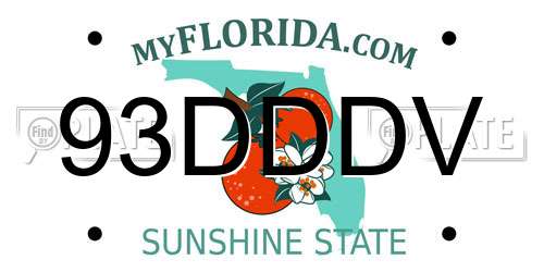 93DDDV Florida License Plate