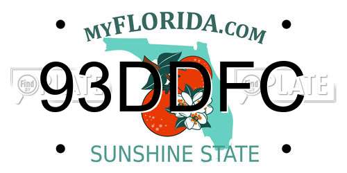93DDFC Florida License Plate