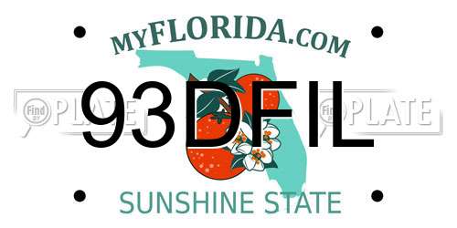 93DFIL Florida License Plate