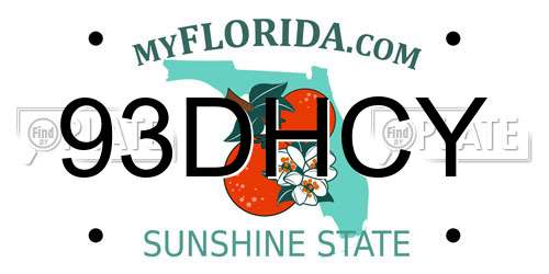 93DHCY Florida License Plate