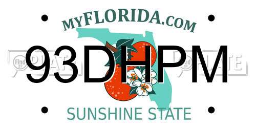 93DHPM Florida License Plate