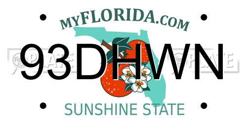 93DHWN Florida License Plate