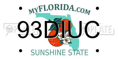 93DIUC Florida License Plate