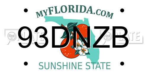 93DNZB Florida License Plate