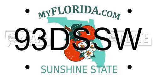 93DSSW Florida License Plate