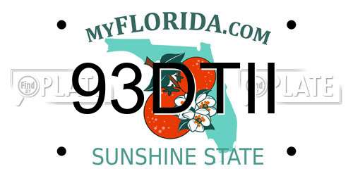 93DTII Florida License Plate
