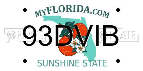 93DVIB Florida License Plate