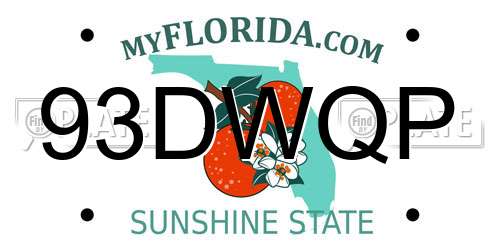 93DWQP Florida License Plate