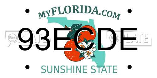 93ECDE Florida License Plate