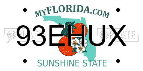 93EHUX Florida License Plate
