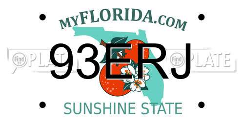 93ERJ Florida License Plate