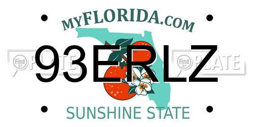 93ERLZ Florida License Plate