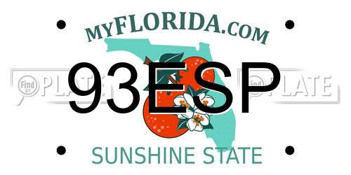 93ESP Florida License Plate