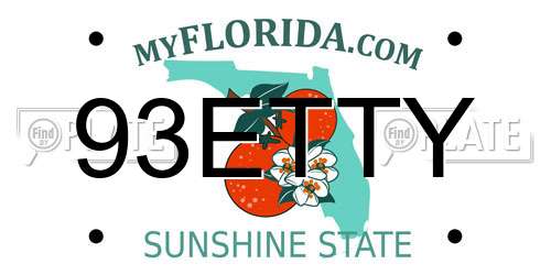 93ETTY Florida License Plate