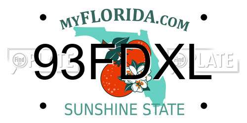 93FDXL Florida License Plate