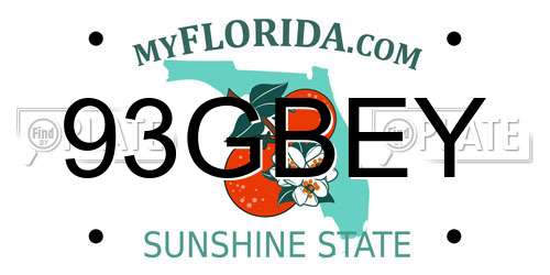 93GBEY Florida License Plate