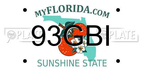 93GBI Florida License Plate