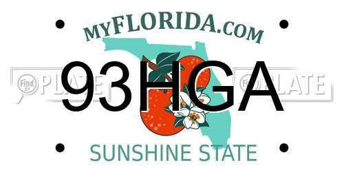 93HGA Florida License Plate