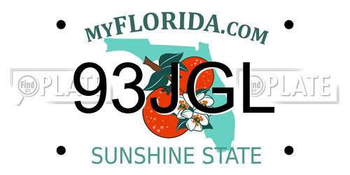 93JGL Florida License Plate