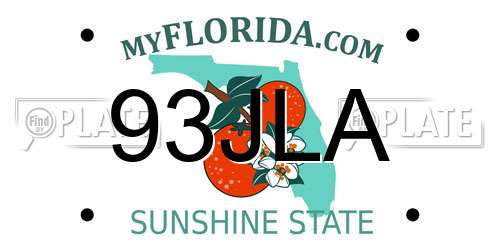 93JLA Florida License Plate