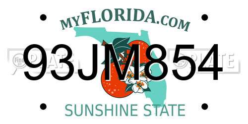 93JM854 Florida License Plate