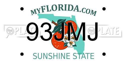 93JMJ Florida License Plate