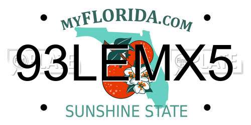93LEMX5 Florida License Plate