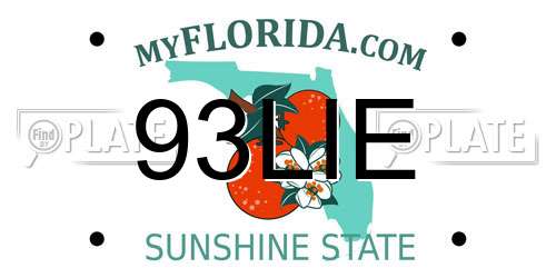 93LIE Florida License Plate