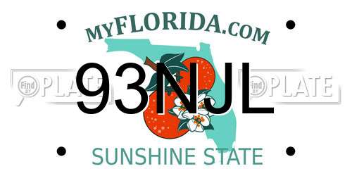 93NJL Florida License Plate