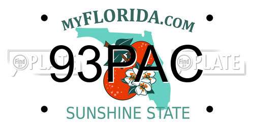 93PAC Florida License Plate