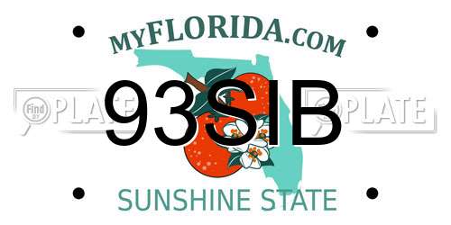 93SIB Florida License Plate