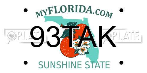 93TAK Florida License Plate