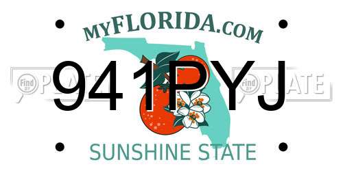 941PYJ Florida License Plate