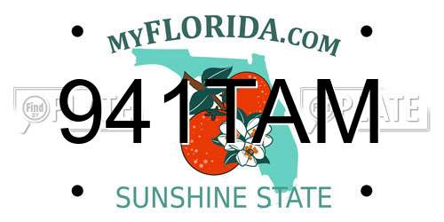 941TAM Florida License Plate