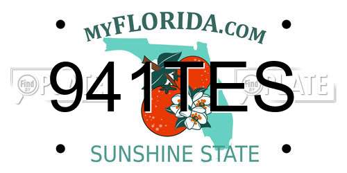 941TES Florida License Plate