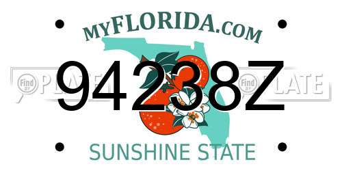 94238Z Florida License Plate