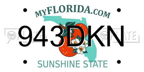 943DKN Florida License Plate