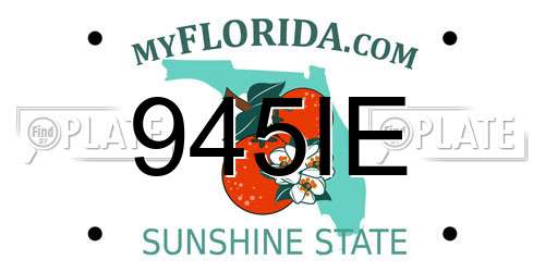 945IE Florida License Plate