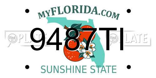9487TI Florida License Plate