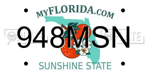 948MSN Florida License Plate