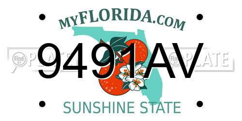 9491AV Florida License Plate