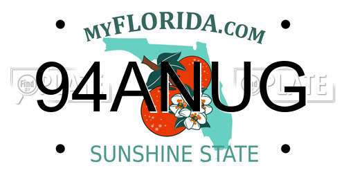 94ANUG Florida License Plate