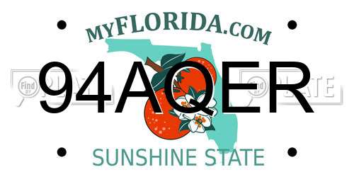 94AQER Florida License Plate
