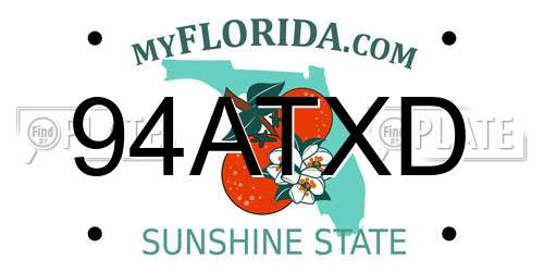 94ATXD Florida License Plate